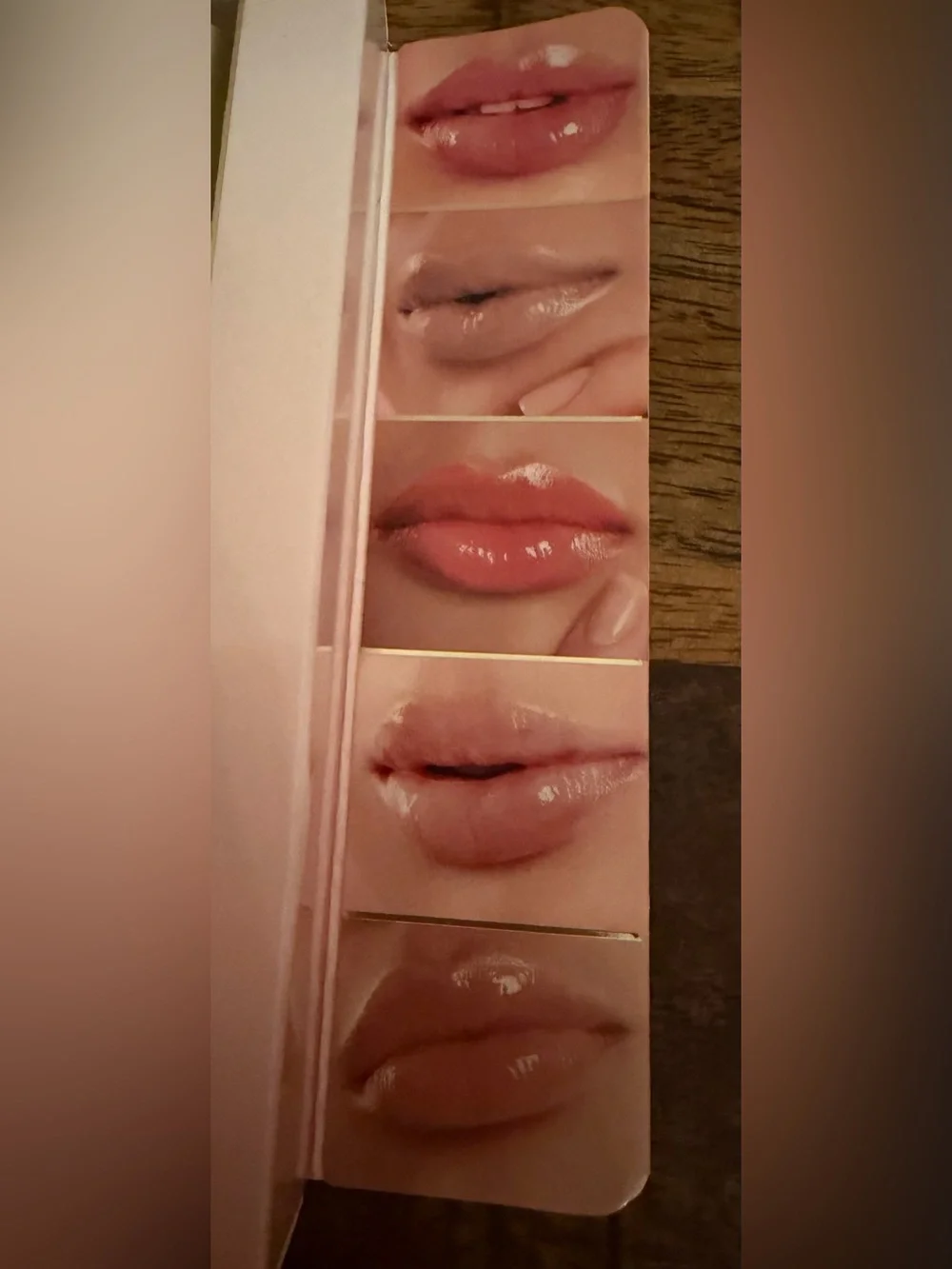 Ellen Tracy Pink Nude Lip Gloss Set - 5 Shades New